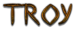 TROY Logo Style