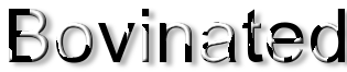 Rendered Image