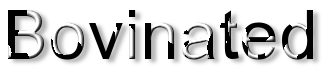 Rendered Image