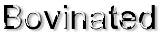 Rendered Image