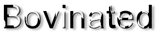 Rendered Image