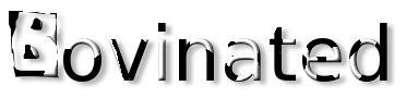 Rendered Image