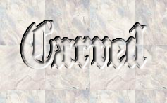 Rendered Image