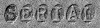Rendered Image