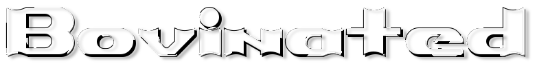Rendered Image