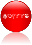 Rendered Image