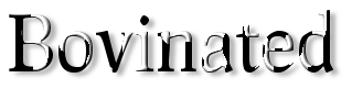 Rendered Image