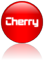 Rendered Image