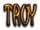 TROY Logo Style