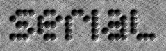 Rendered Image