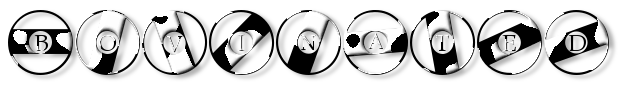 Rendered Image