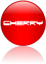 Rendered Image