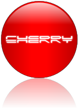 Rendered Image