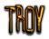 TROY Logo Style