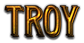 TROY Logo Style