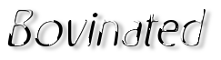 Rendered Image