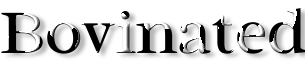 Rendered Image