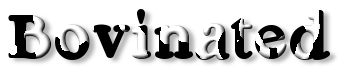 Rendered Image