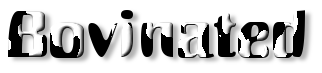 Rendered Image