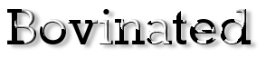 Rendered Image