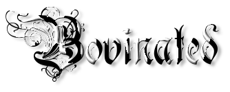 Rendered Image