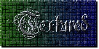 Rendered Image