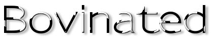 Rendered Image