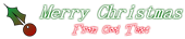 Font さざなみ明朝 Sazanami Mincho Christmas Symbol Logo Preview