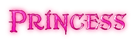 Princess Logo Style