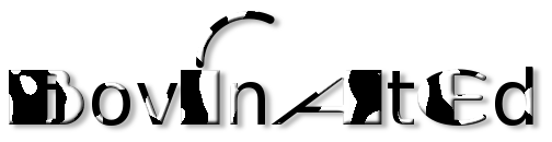 Rendered Image