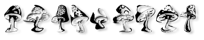 Rendered Image