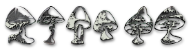 Rendered Image
