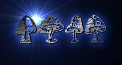Rendered Image