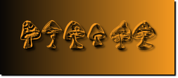 Rendered Image