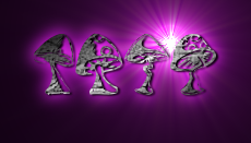 Rendered Image