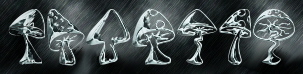 Rendered Image