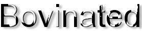 Rendered Image