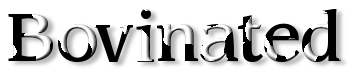 Rendered Image