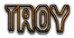 TROY Logo Style