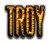 TROY Logo Style