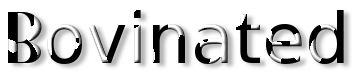 Rendered Image