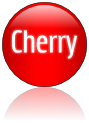 Rendered Image