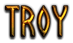 TROY Logo Style