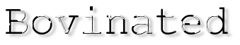 Rendered Image