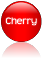 Rendered Image