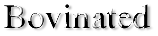 Rendered Image