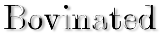 Rendered Image