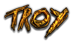 TROY Logo Style