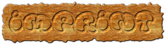 Rendered Image