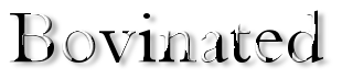 Rendered Image